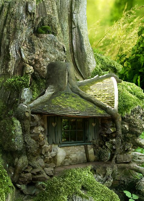 Tales from the Tree House: Legendary Adventures and Mysterious Creatures